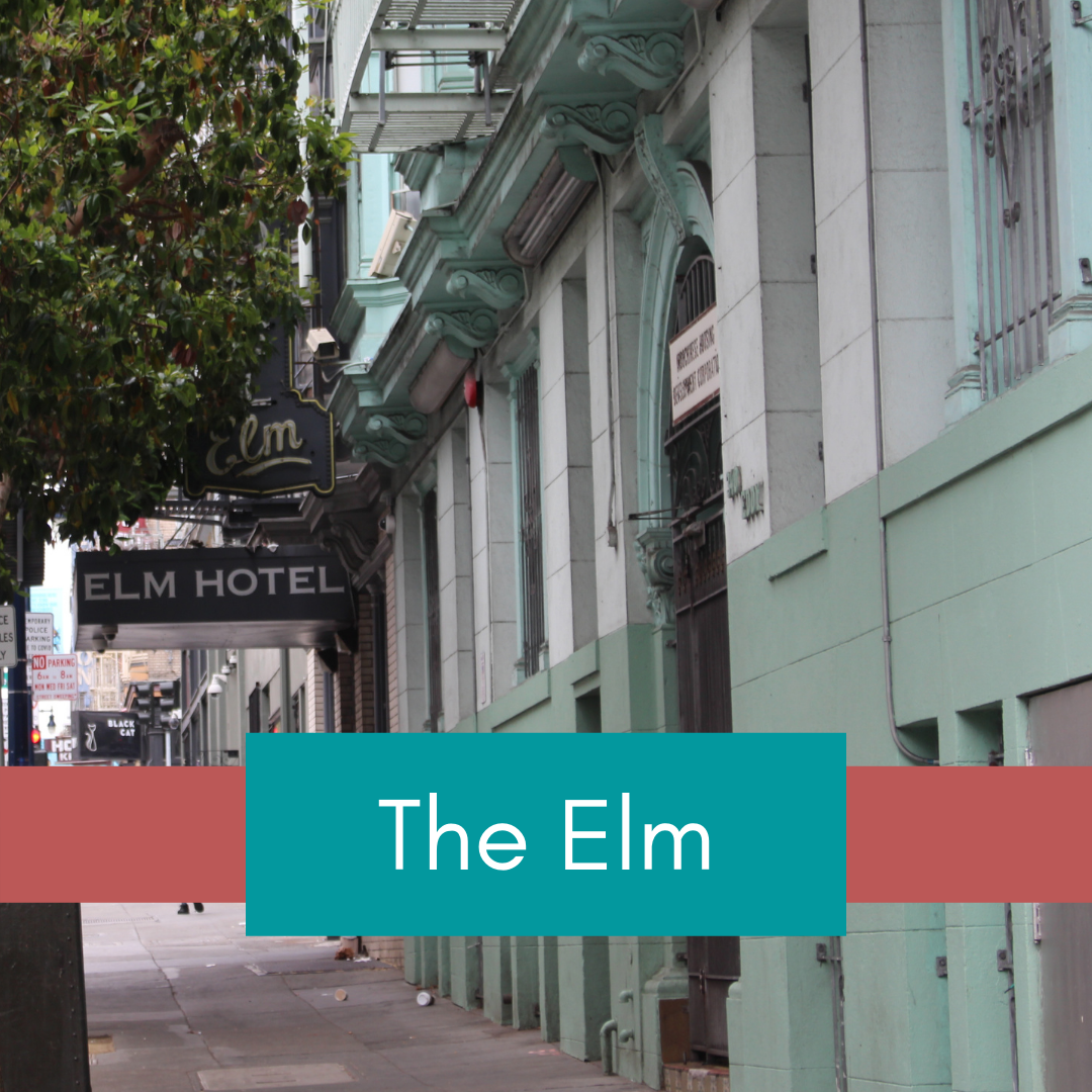 The Elm